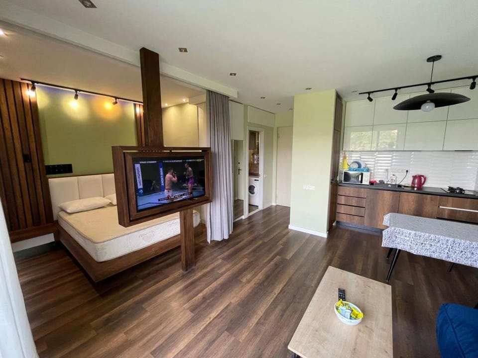 Studio with Kikvidze Park view Apartment in Tbilisi, Georgia