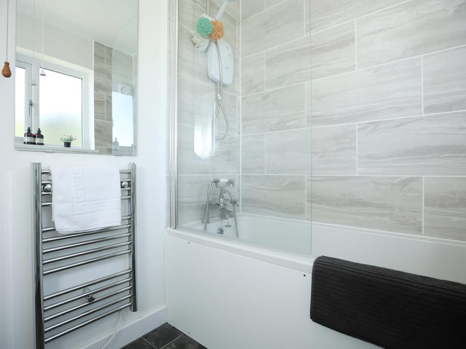 Shower, Bathroom, Photo of the whole room, heating, towels
