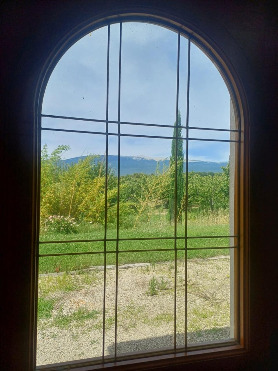 Mountain view