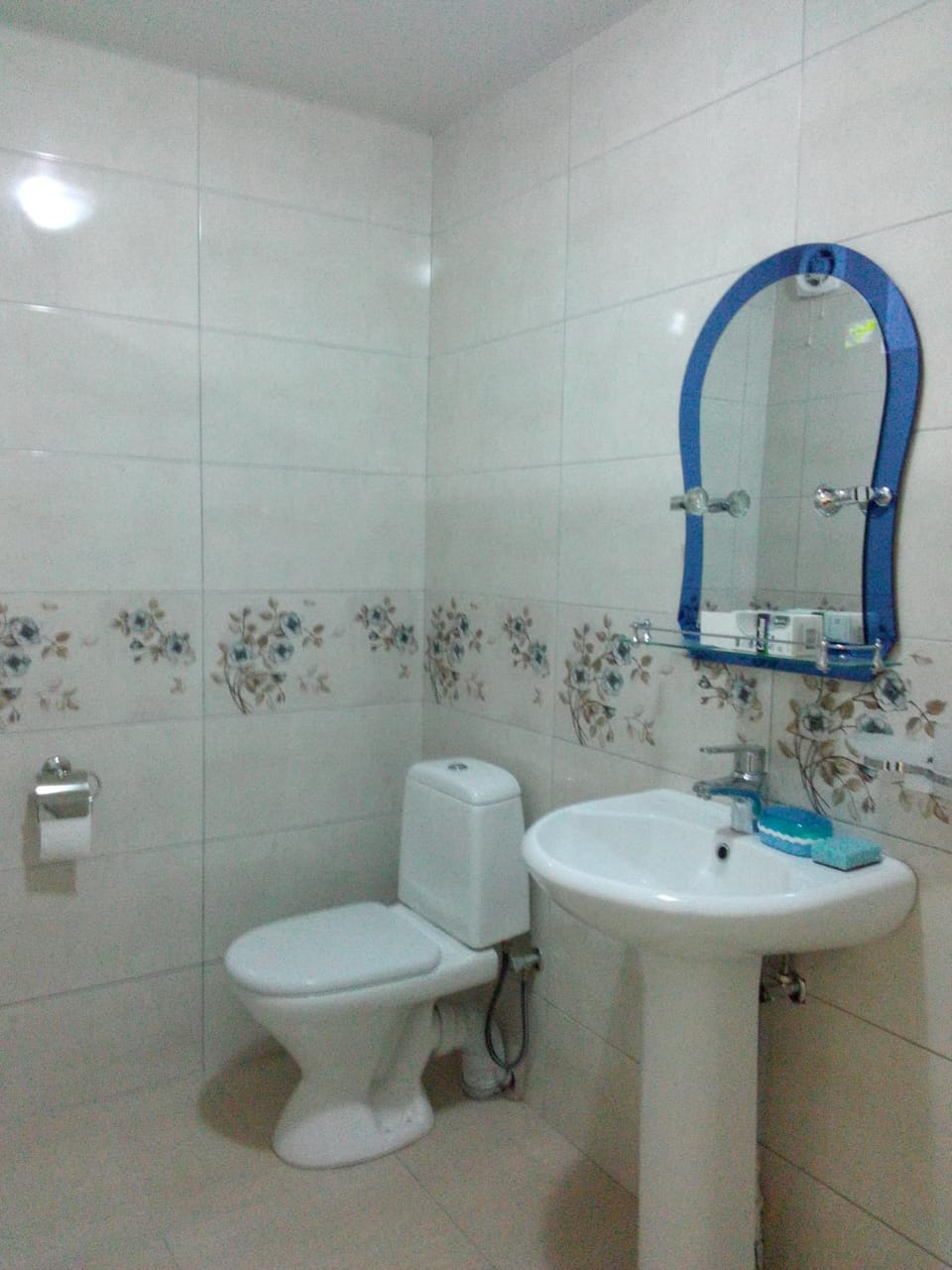 Toilet, Bathroom
