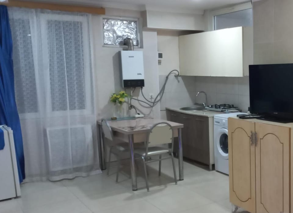 Kitchen or kitchenette, Dining area, washing machine