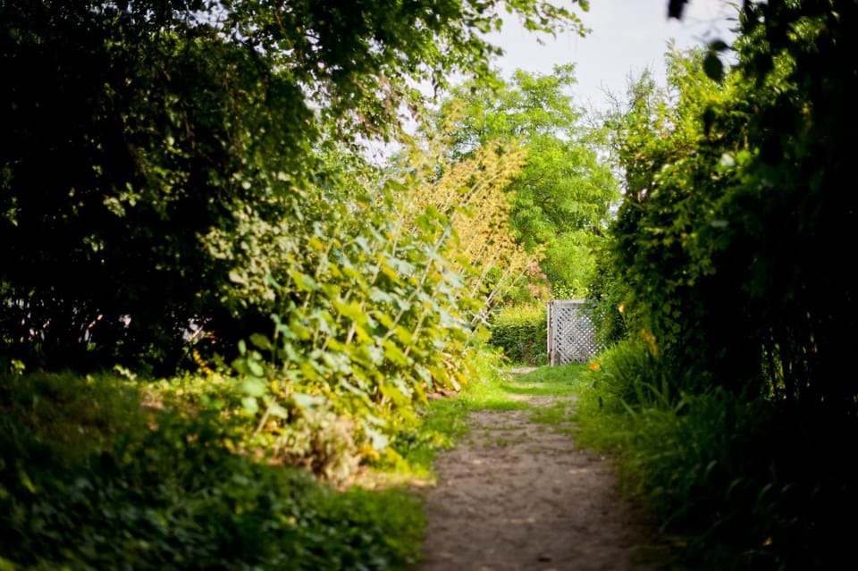 Off site, Neighbourhood, Natural landscape, Windsurfing, Location