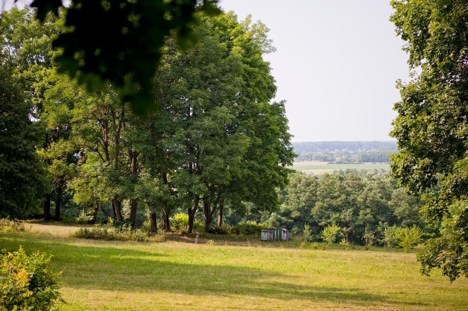 Off site, Neighbourhood, Natural landscape, Location