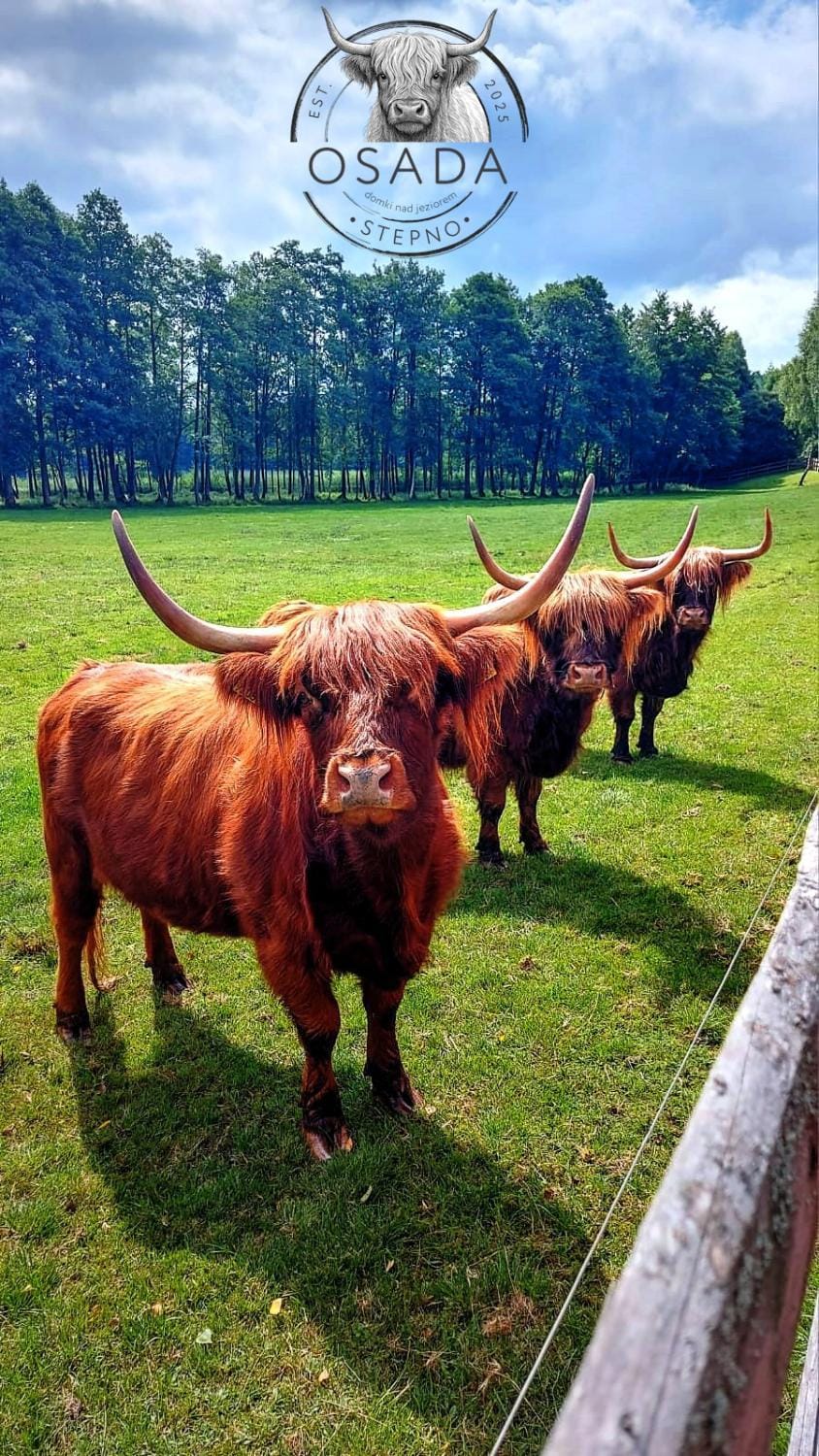 Animals