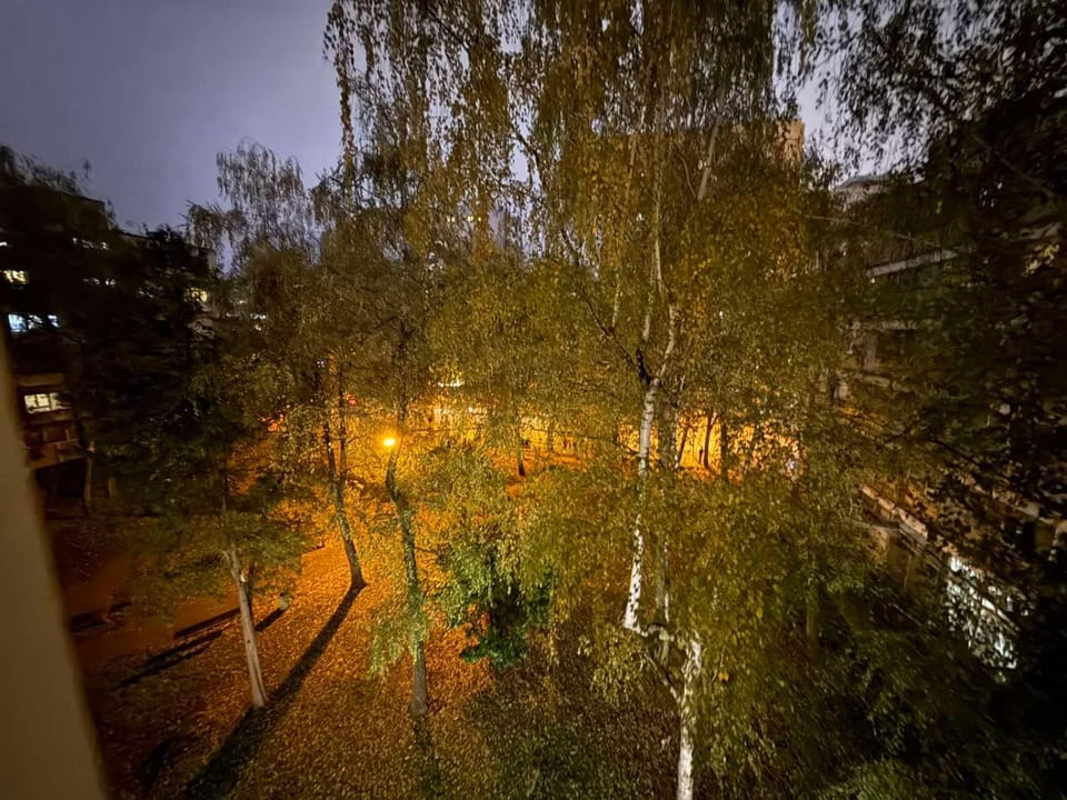Garden, Garden view, Garden view