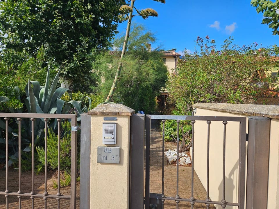 Facade/entrance, Garden view