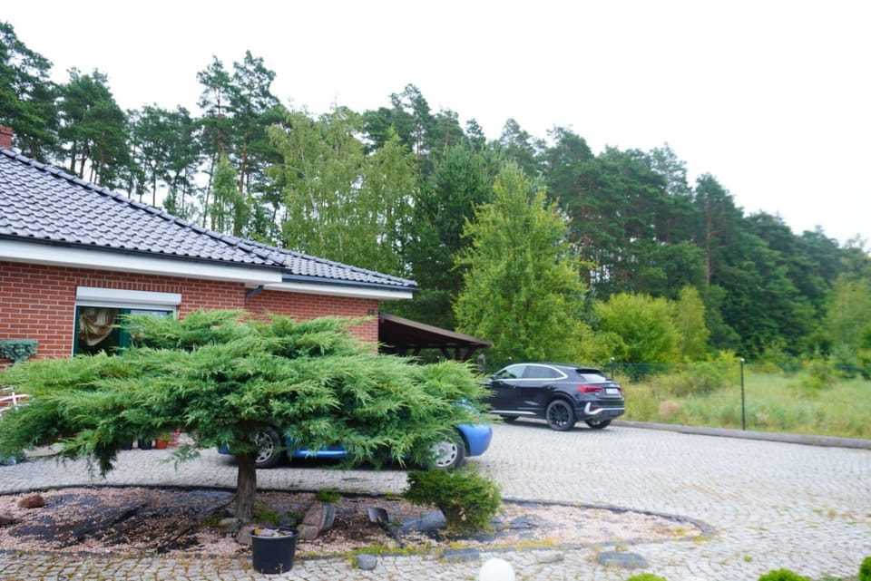 Property building, Spring, Day, Natural landscape, Garden, Garden view, Parking