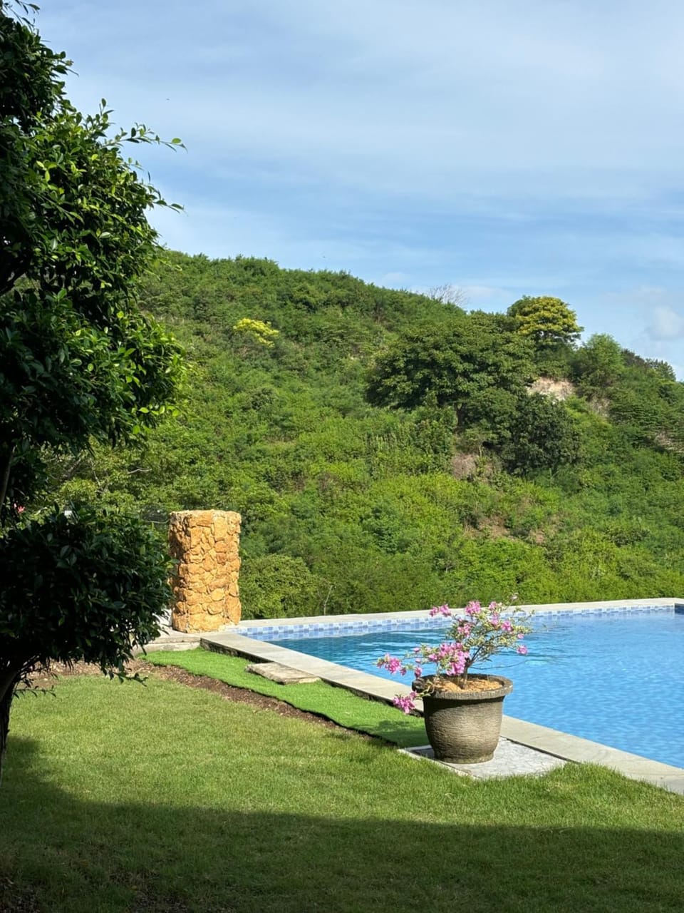 Natural landscape, Garden, Swimming pool
