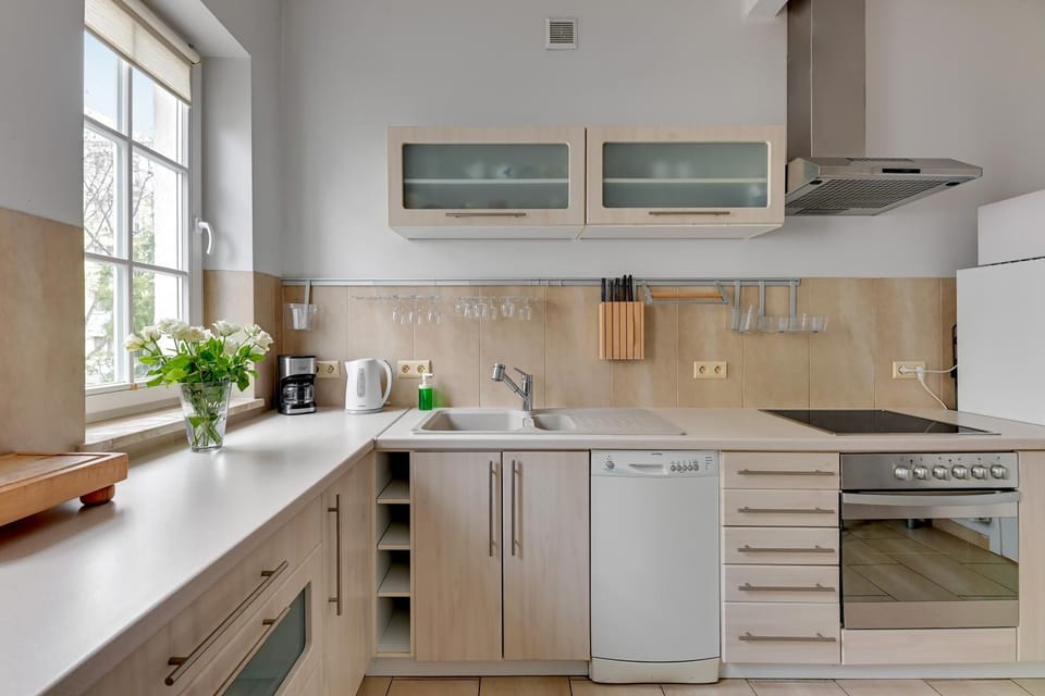 Kitchen or kitchenette, dishwasher