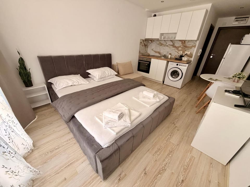 Bed, Kitchen or kitchenette, Living room, Photo of the whole room, washing machine