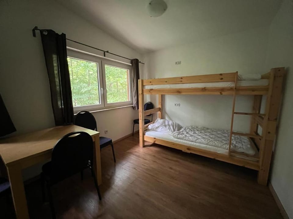 Bed, Photo of the whole room, Bedroom, bunk bed
