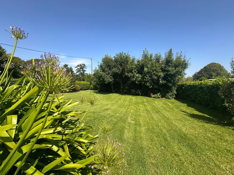 Spring, Day, Natural landscape, Garden, Garden view