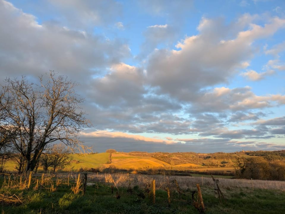 Natural landscape