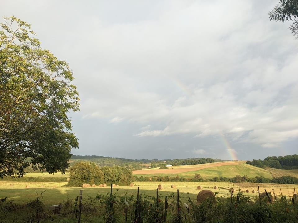 Natural landscape, View (from property/room)