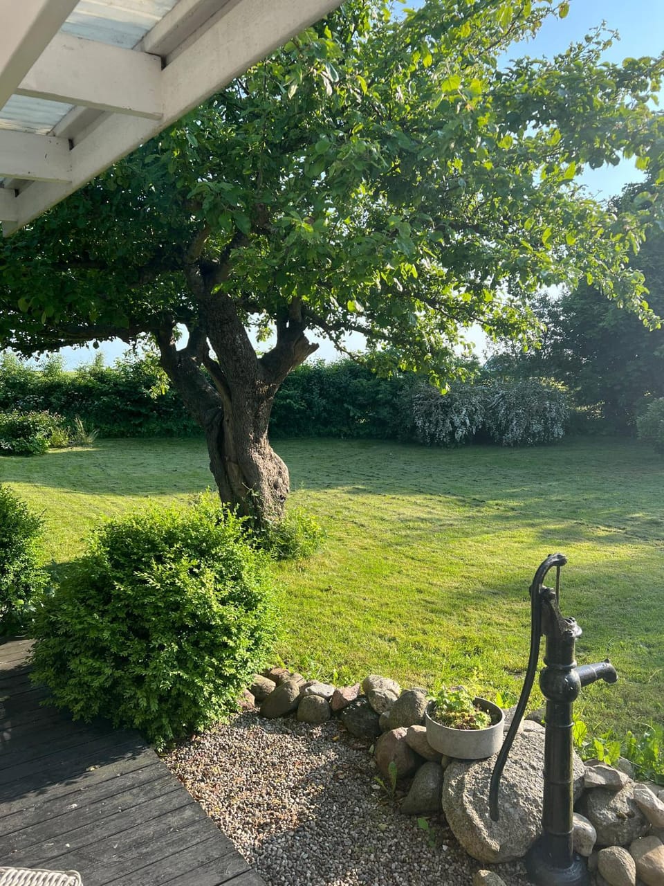 Day, Garden, Garden view