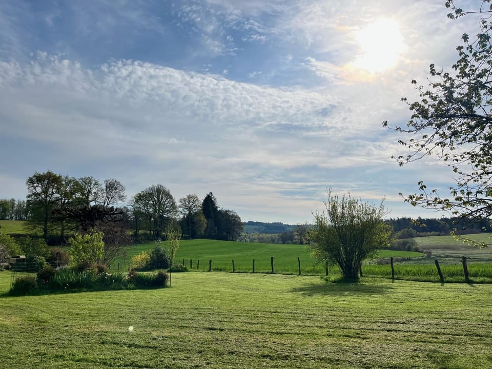 View (from property/room)