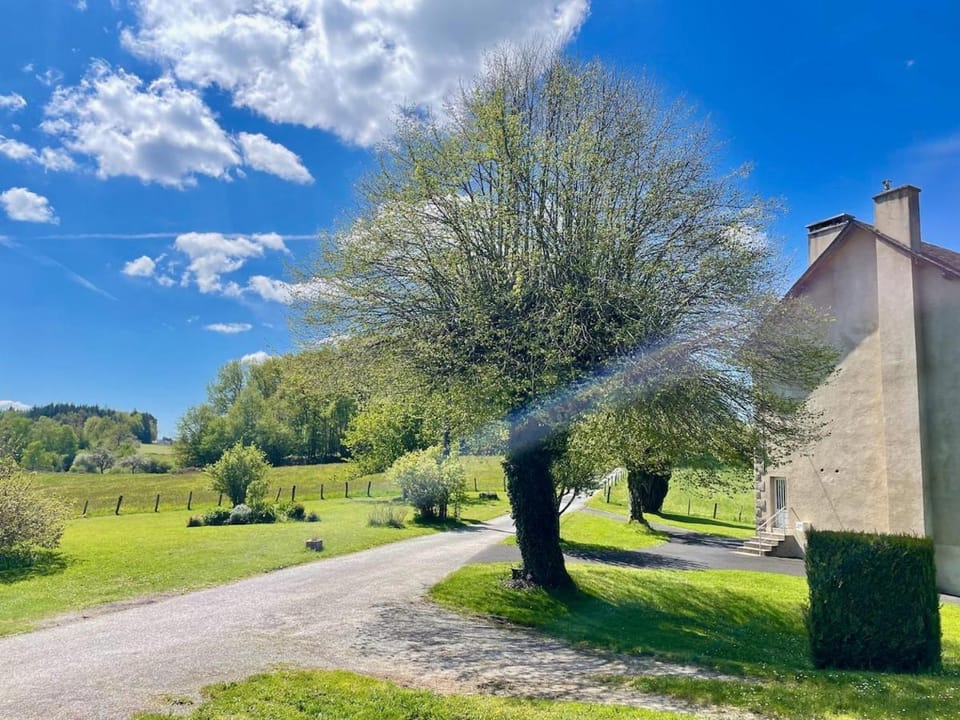 Natural landscape, Garden, Garden