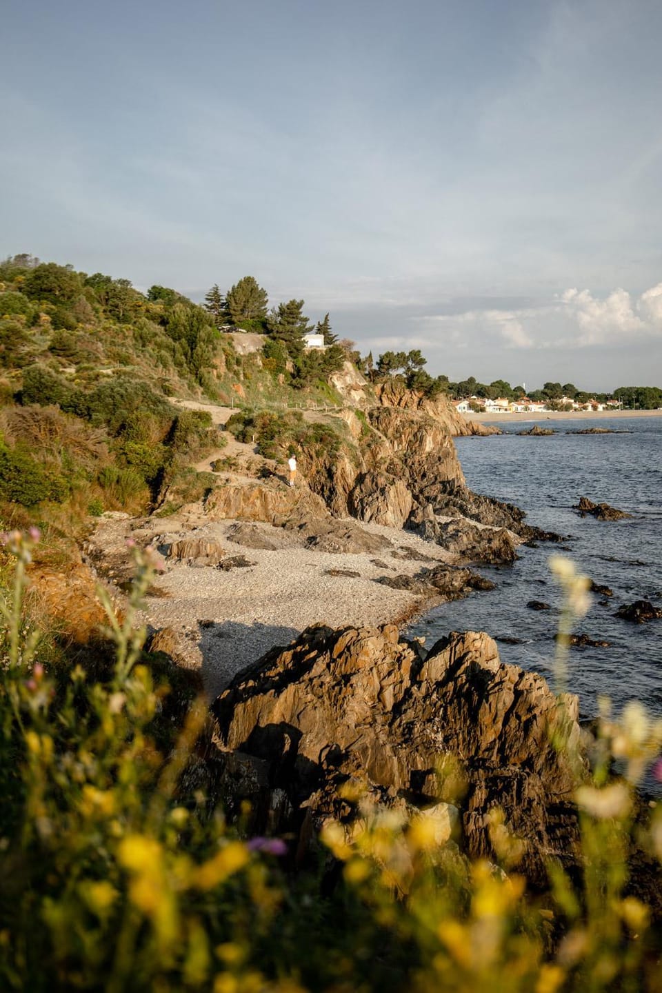 L'Escale Bleue Apartment in Argeles-sur-Mer