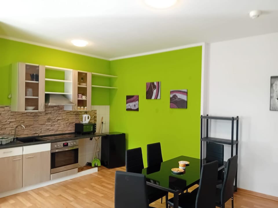 Monteur Apartments 5 Apartment in Saxony