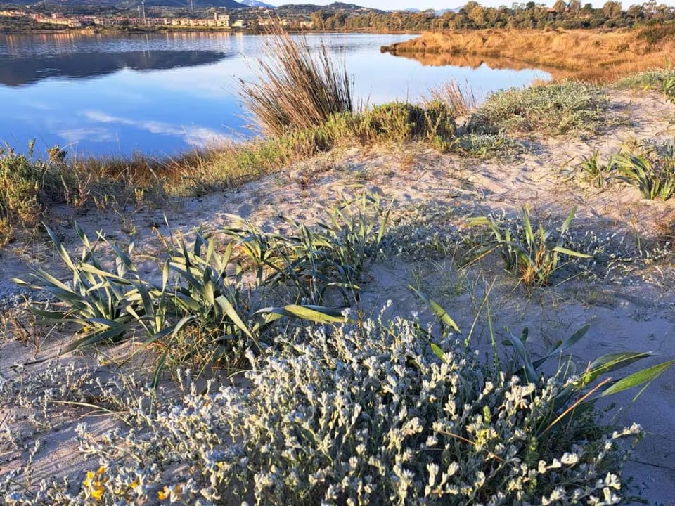 Natural landscape