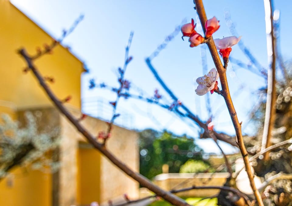 Marelì - magnifica villa con piscina Villa in Livorno