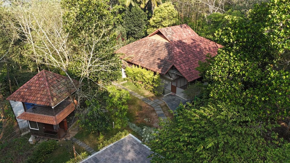 Natural landscape, Bird's eye view, Garden view