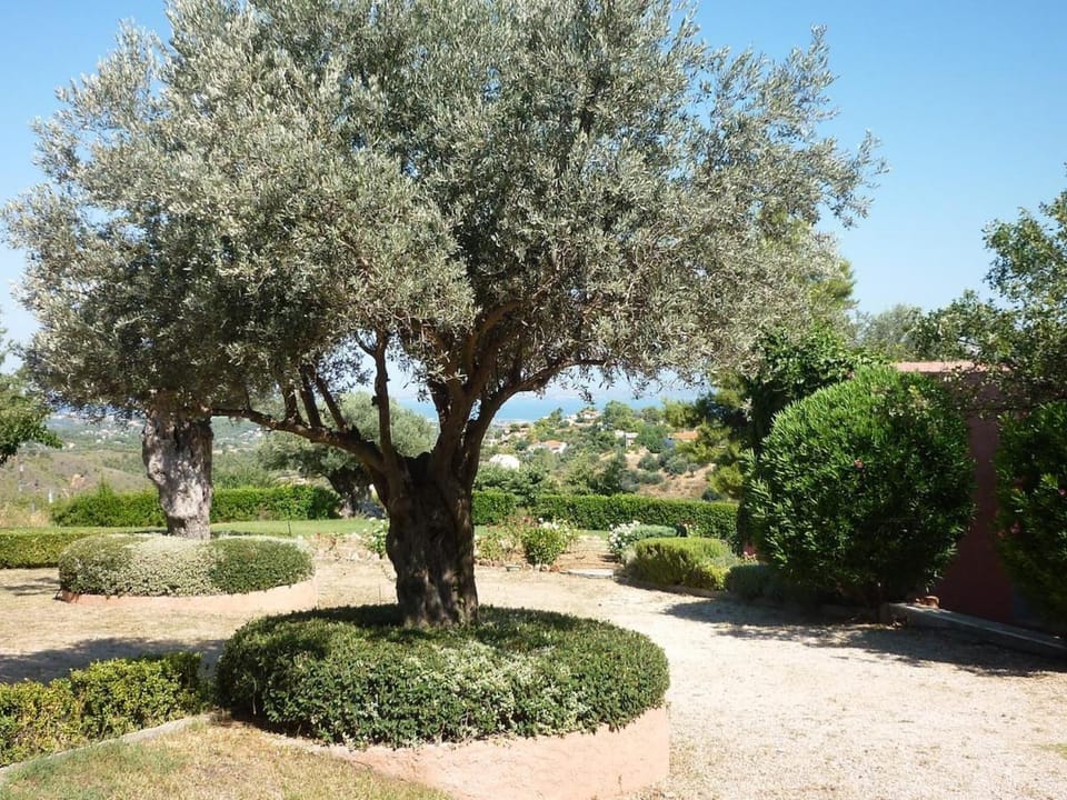 Natural landscape, Garden