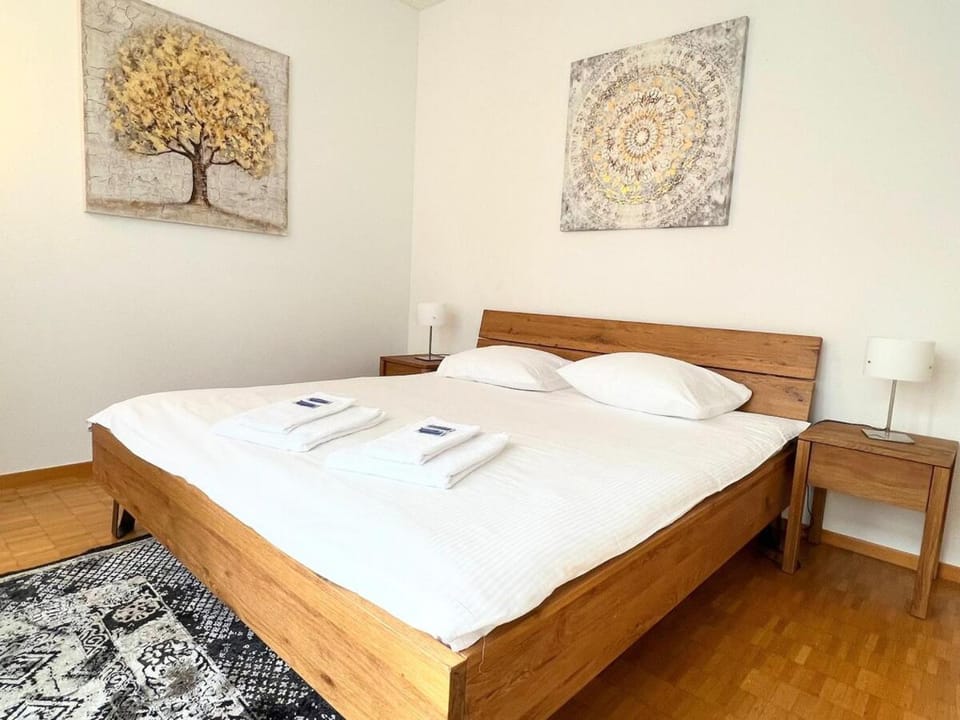 Charming flat near lake - FB7 Apartment in Zurich City