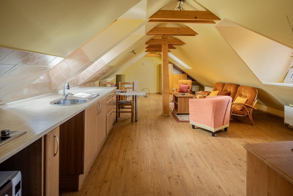 Down Town Apartment with Garden Apartment in Slovakia