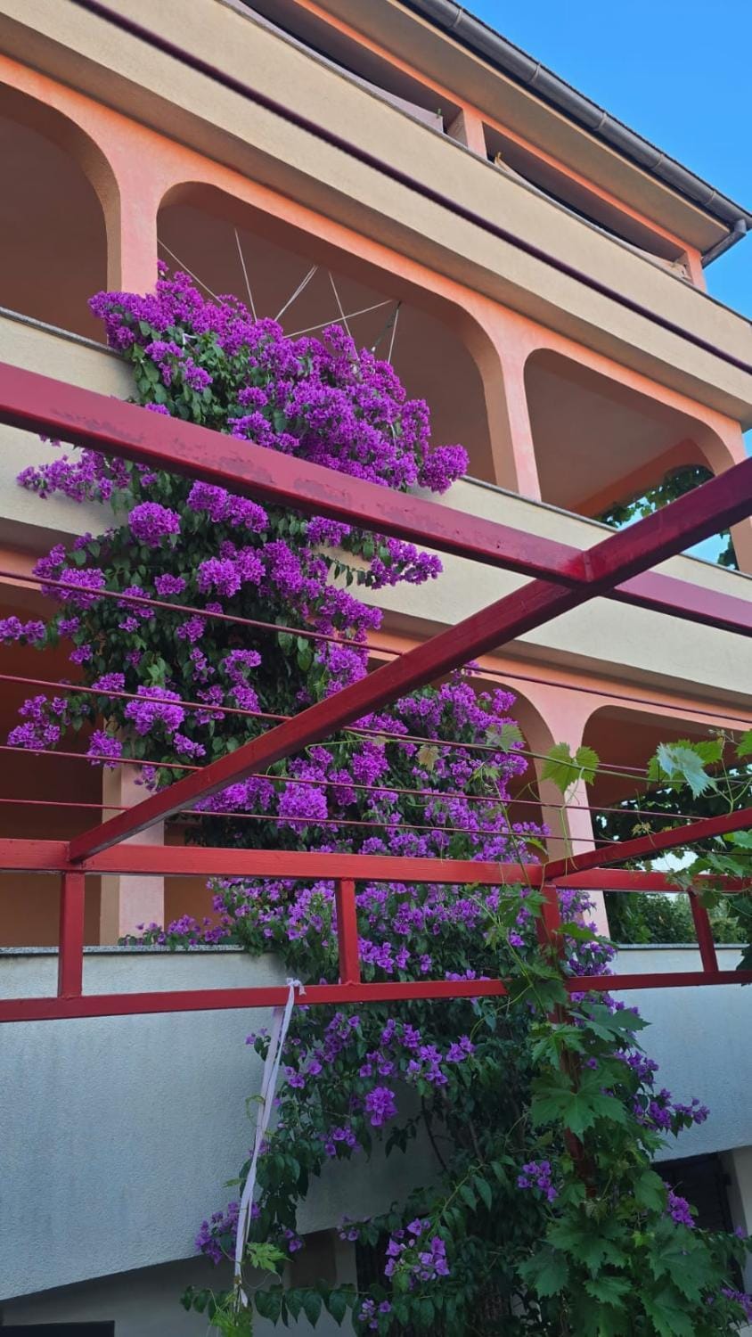 Irena&Dolores Apartments Apartment in Primorje-Gorski Kotar County