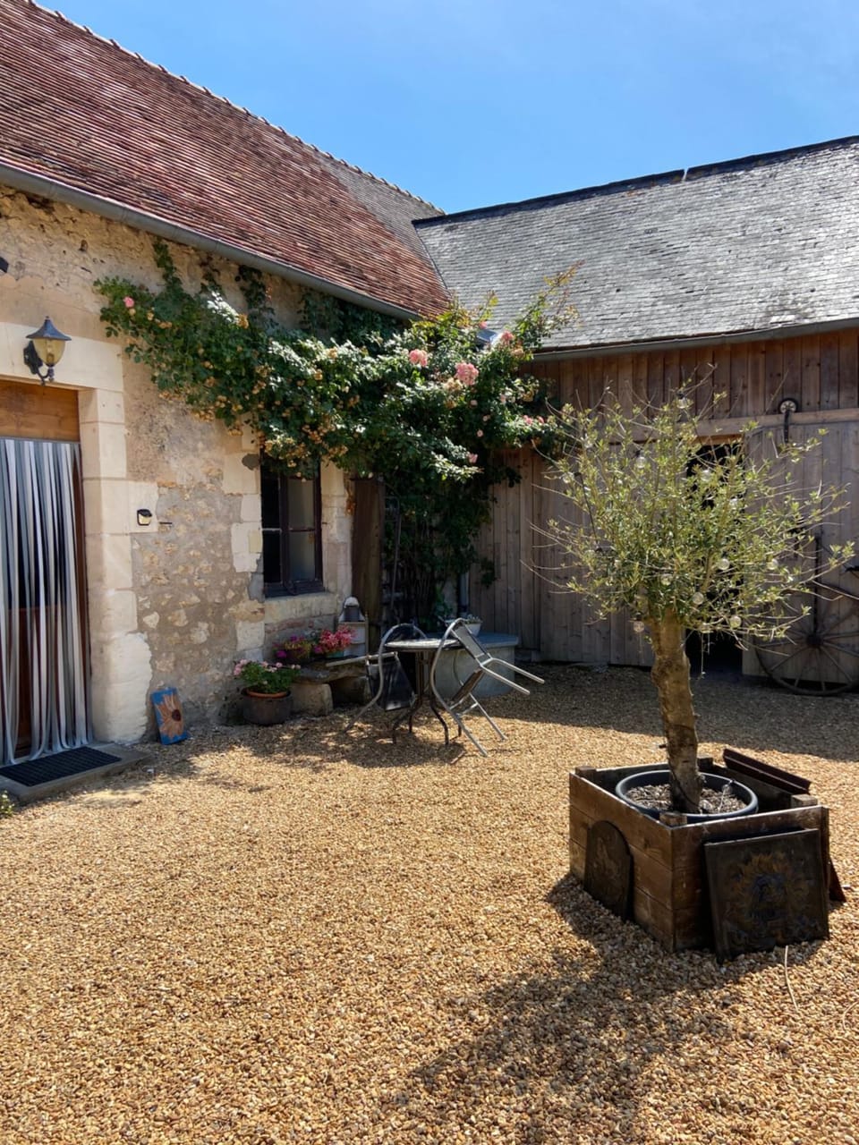 Property building, Garden view