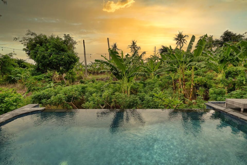 Natural landscape, Garden, Garden view, Pool view, Swimming pool