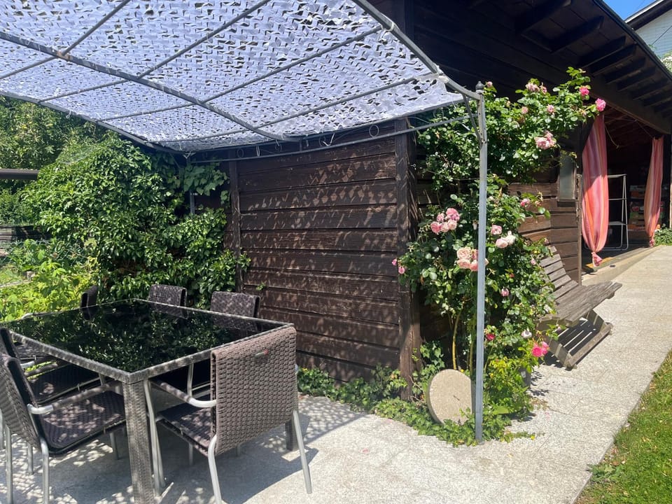 Patio, Garden, Dining area, Garden view