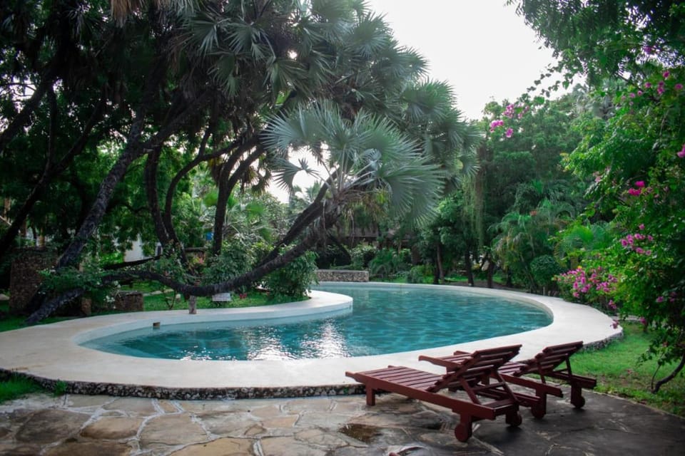 Natural landscape, Pool view, Swimming pool, sunbed