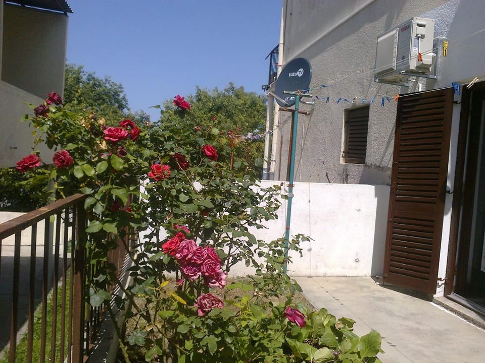 Balcony/Terrace, Garden view
