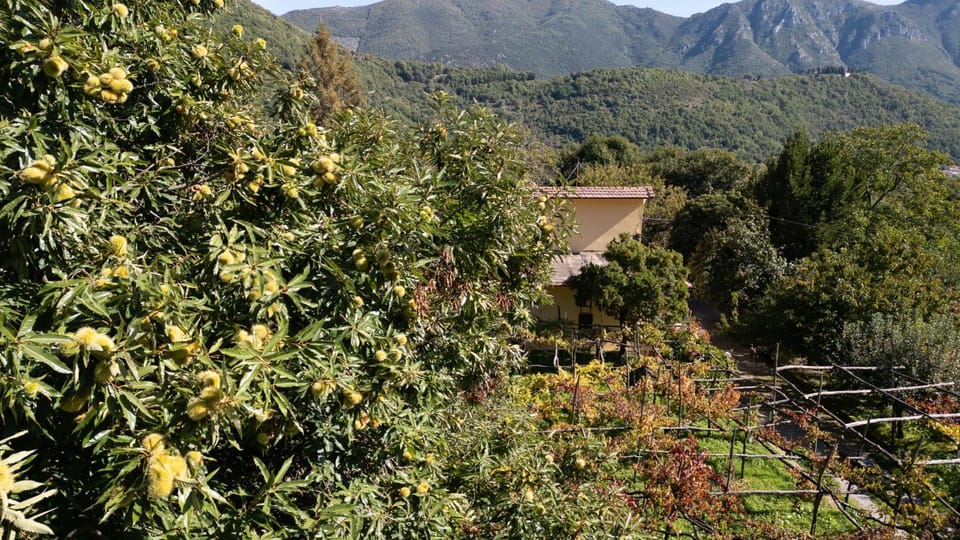 Casa Giordano House in Campania