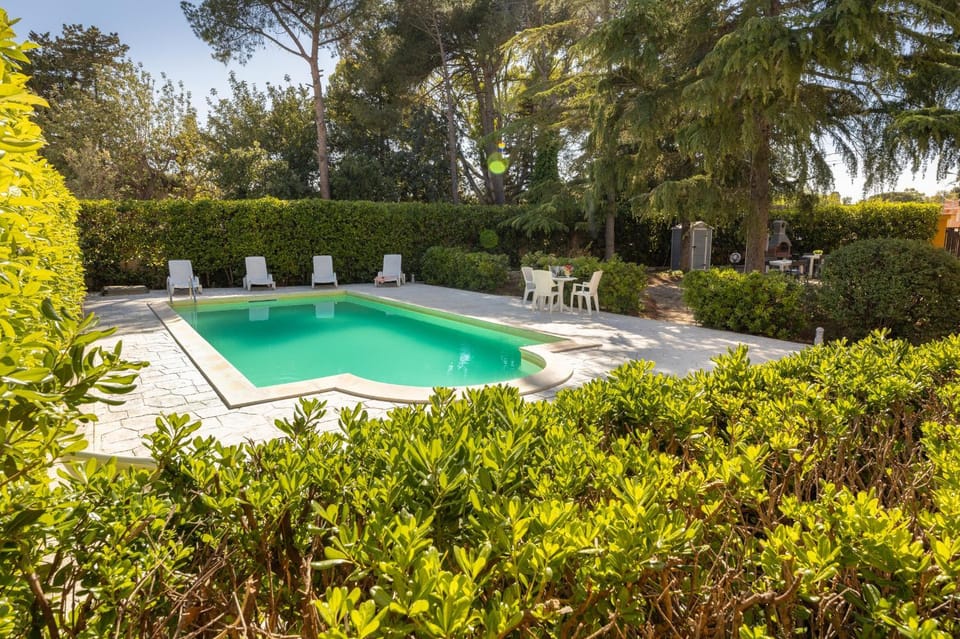 Garden view, Pool view, Swimming pool, sunbed