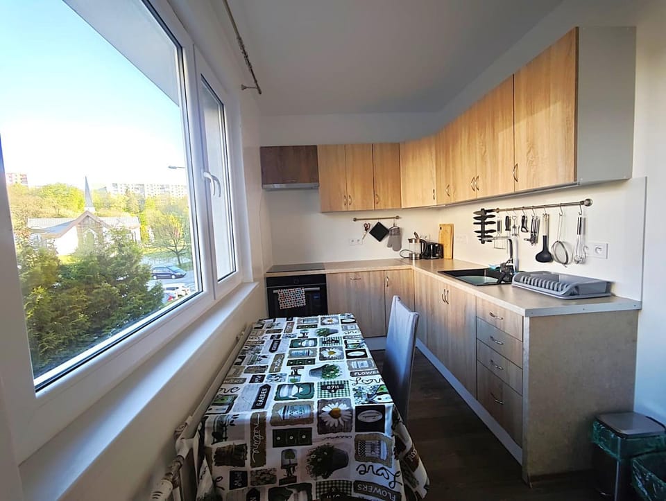 Coffee/tea facilities, View (from property/room), Kitchen or kitchenette, Dining area, heating, heating, internet, microwave, oven, stove, toaster