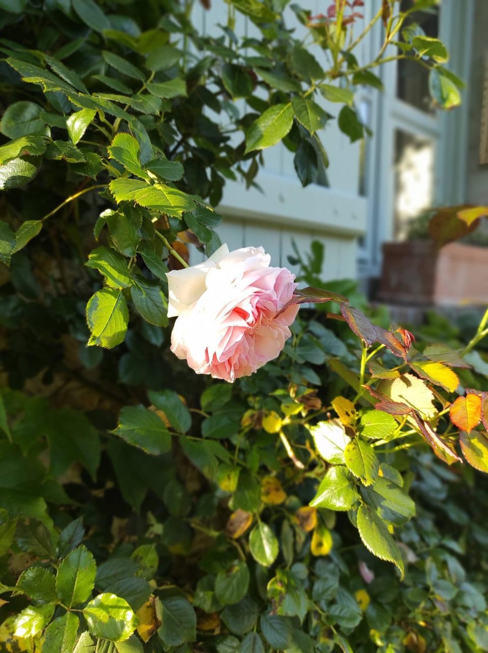 Le Relais d'Antoinette Bed and Breakfast in Île-de-France