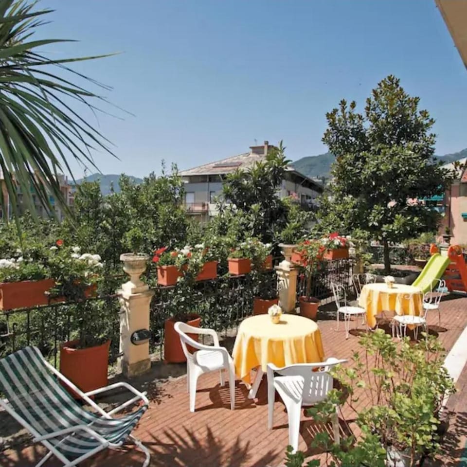 Natural landscape, Garden, sunbed