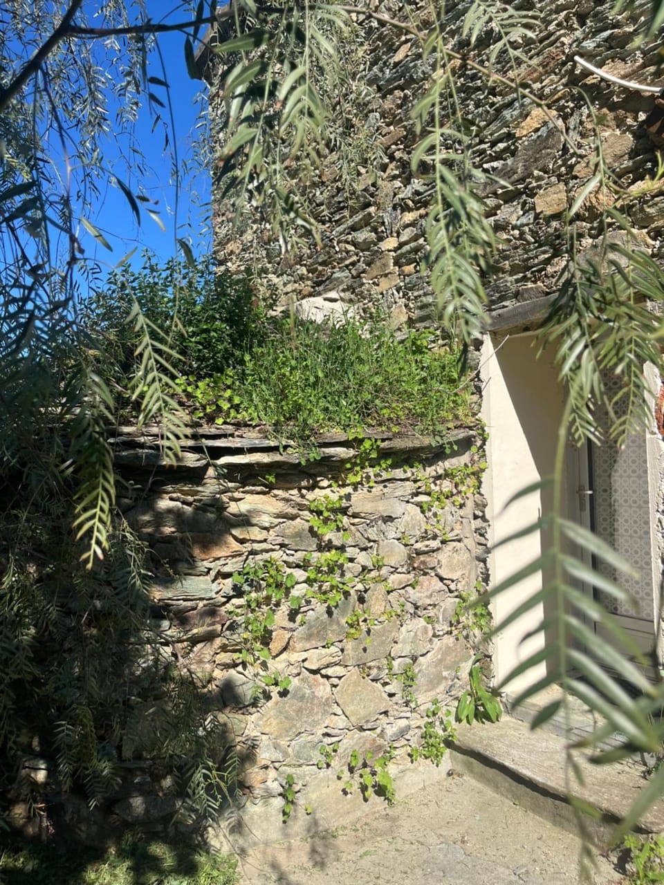 La demeure des vignes Country House in Corsica