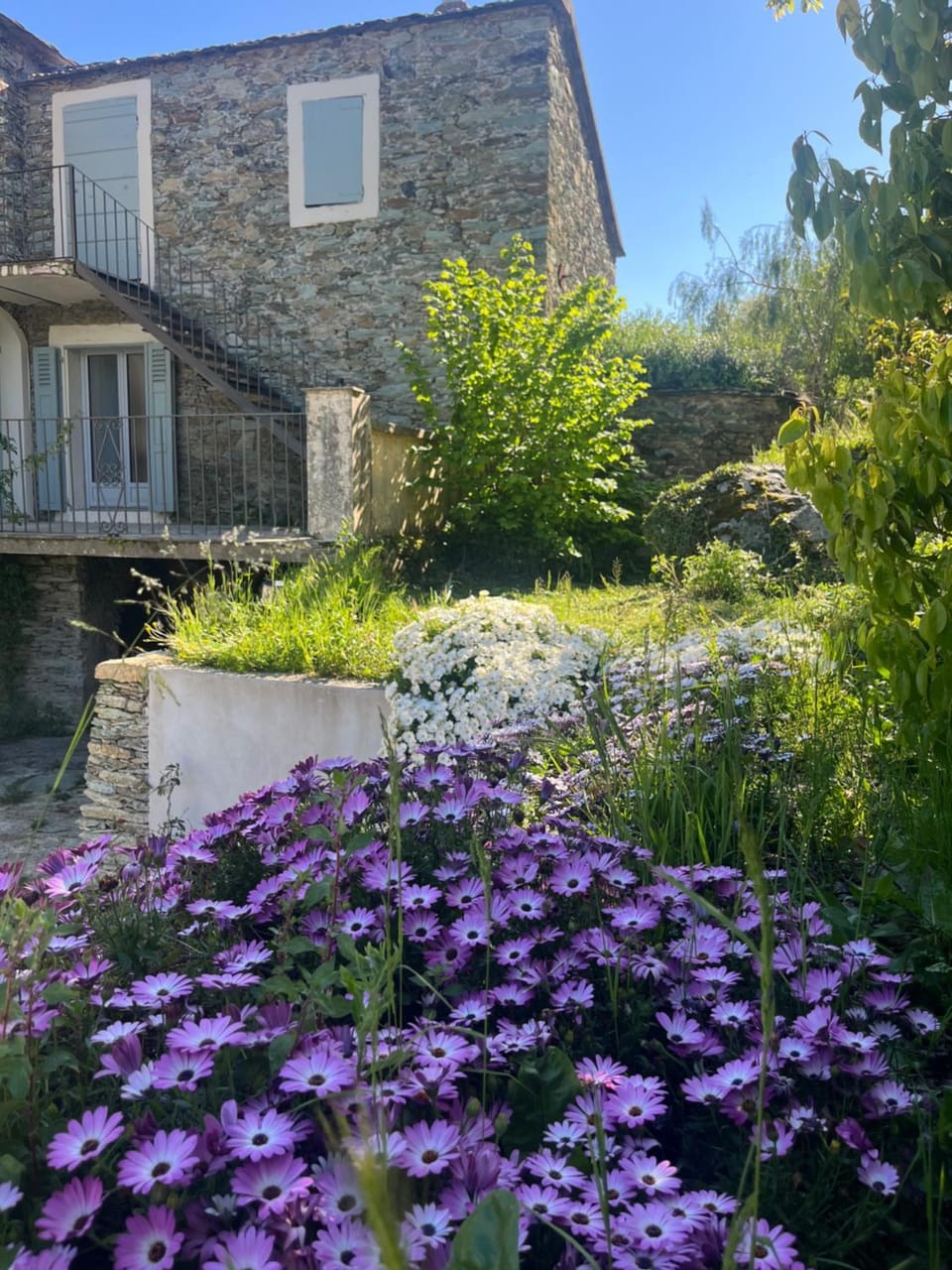 La demeure des vignes Country House in Corsica