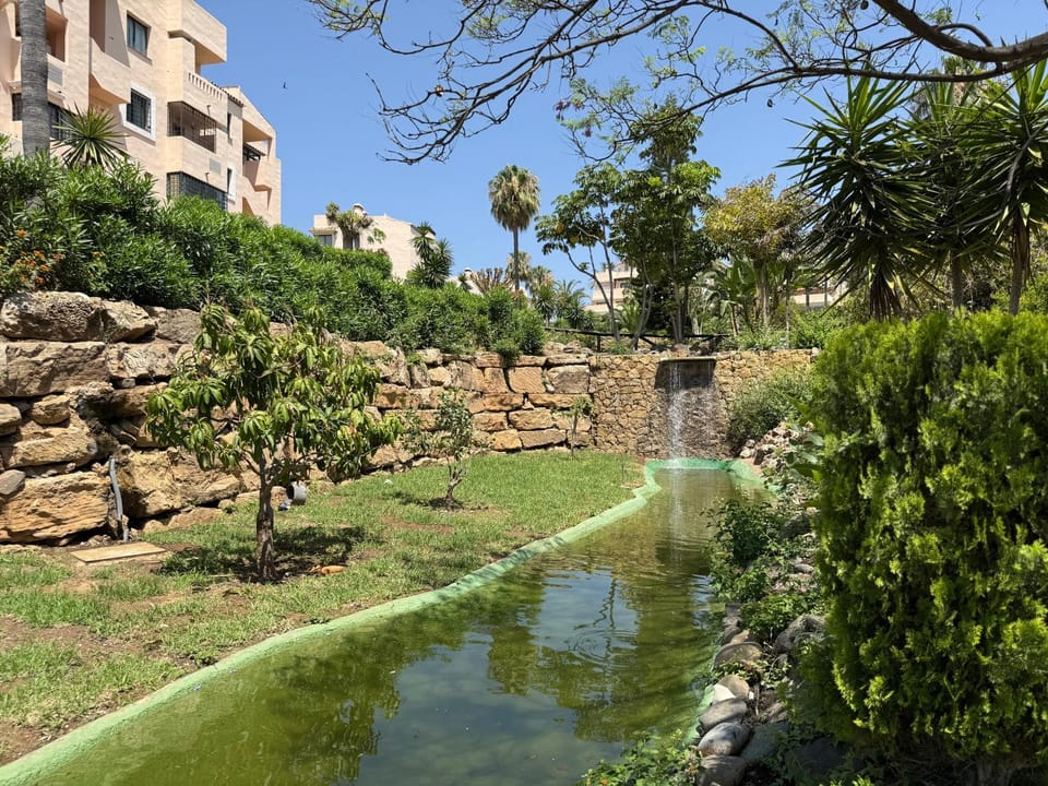 Garden view