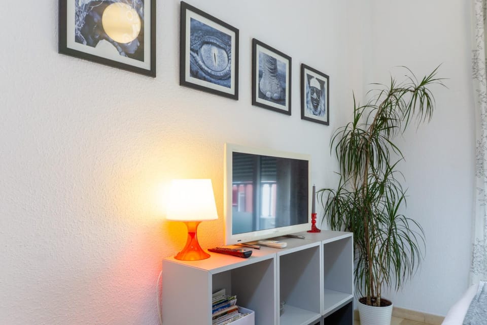 TV and multimedia