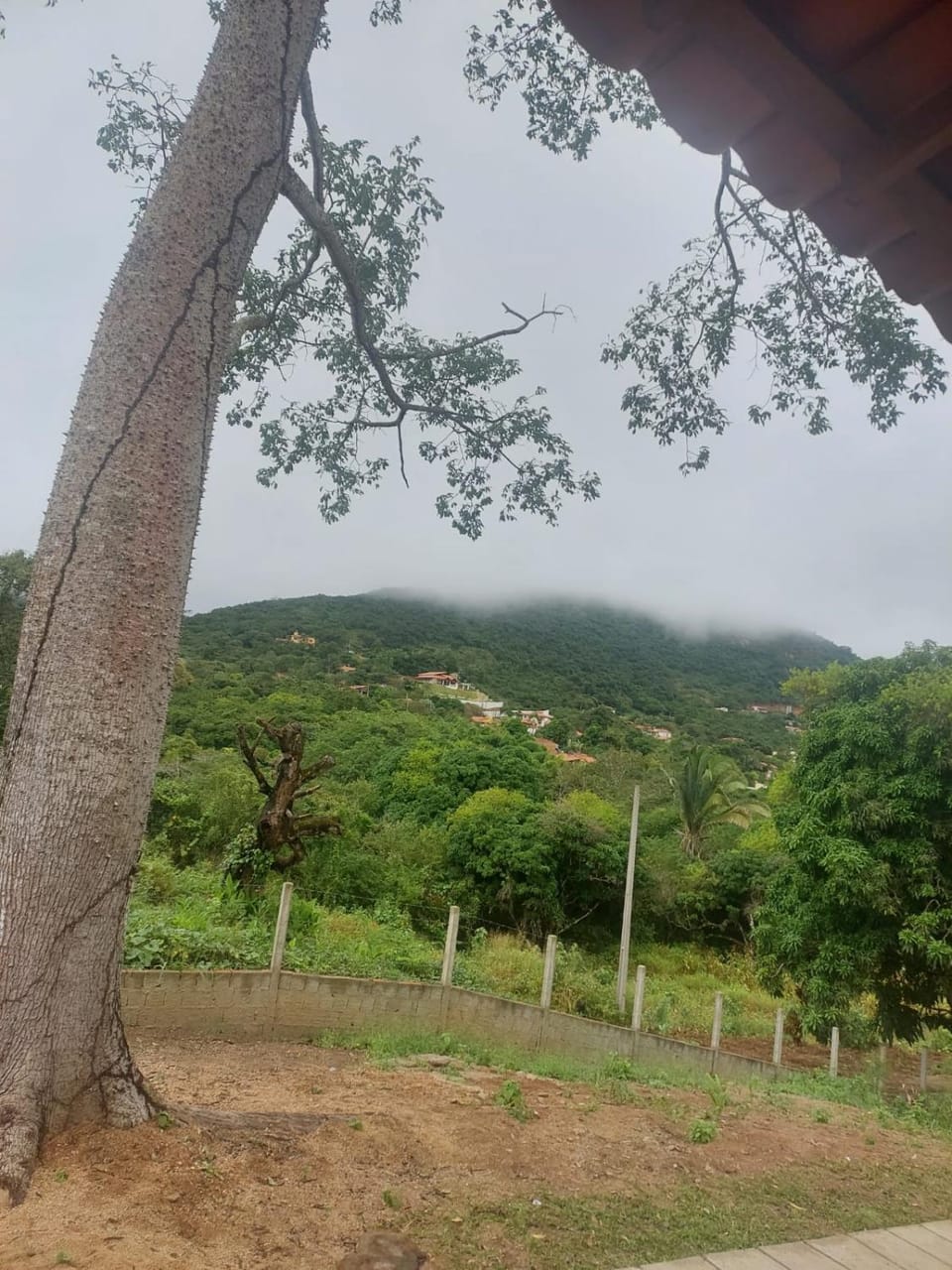 Spring, Mountain view