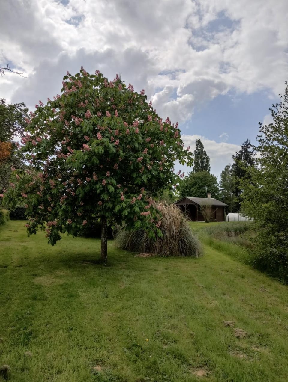 Garden, Garden