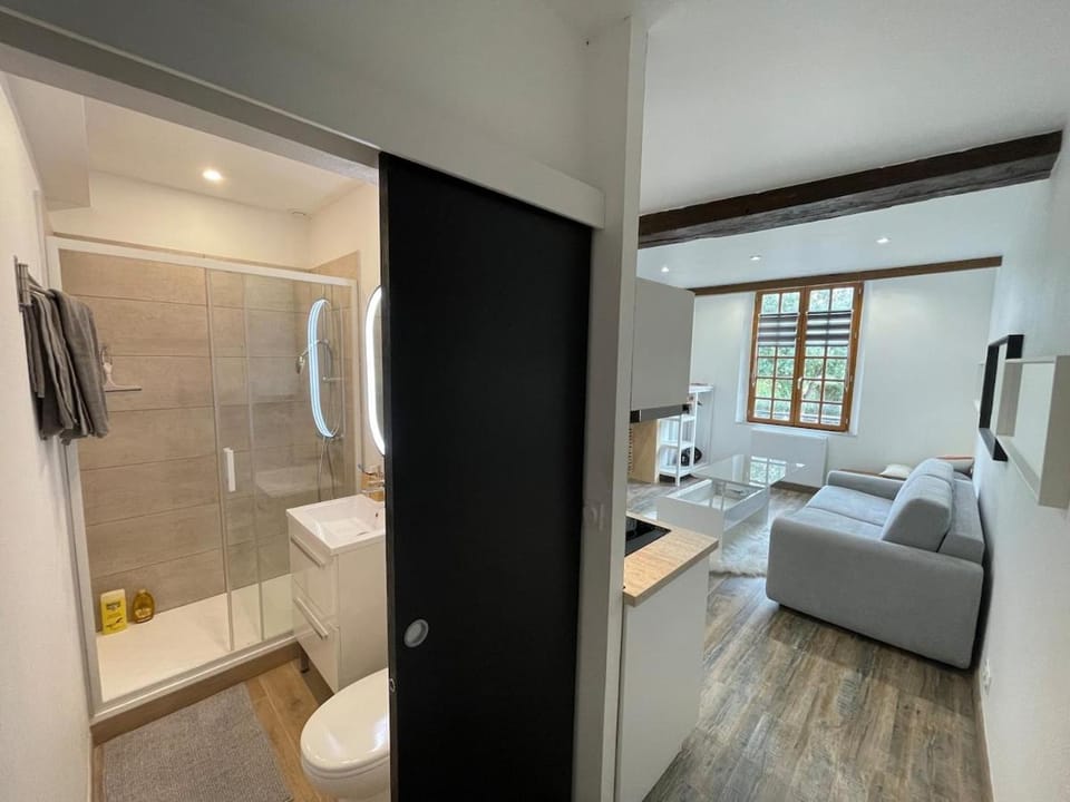 Appartement charmant hyper centre Apartment in Orléans