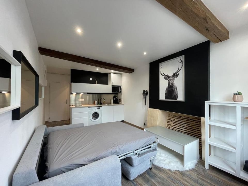 Appartement charmant hyper centre Apartment in Orléans