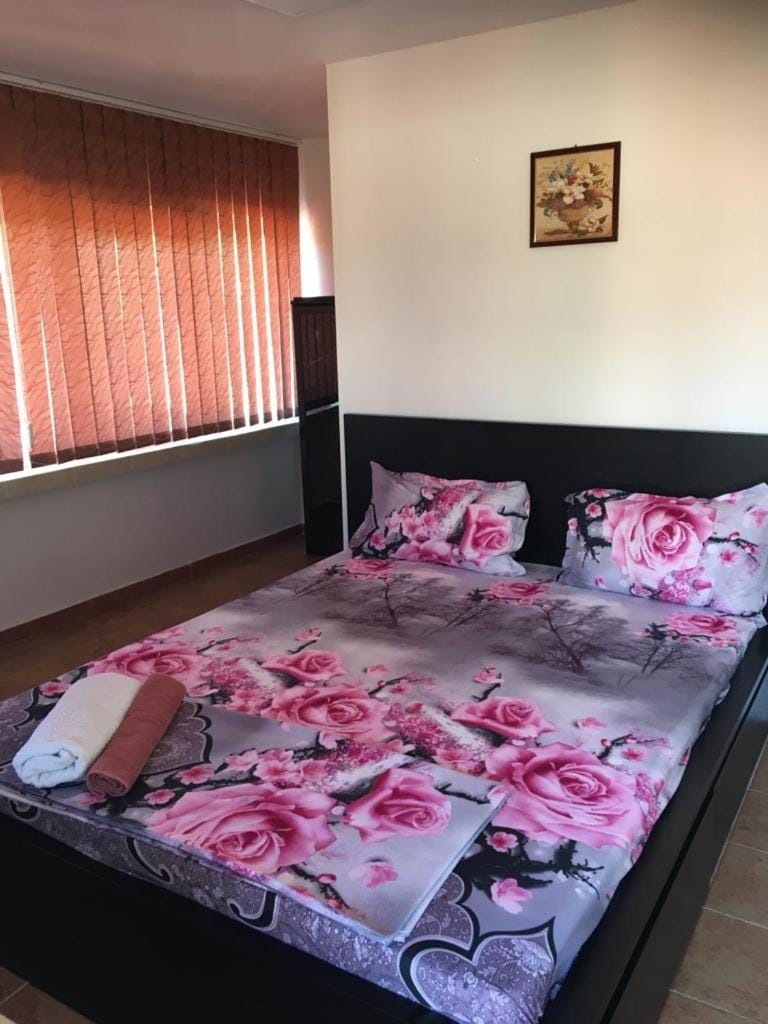 Casa Maya & Cristi Vacation rental in Serbia