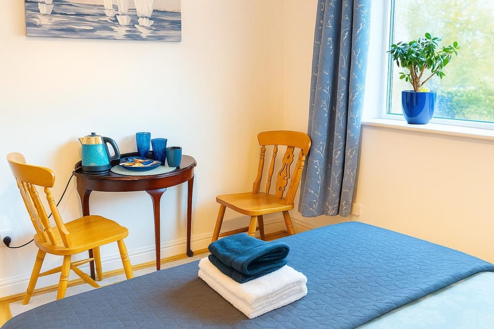 The Blue Haven - Calm and Cozy Stay Vacation rental in Cork City